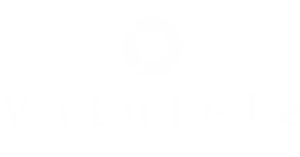 Vatulele Swimwear